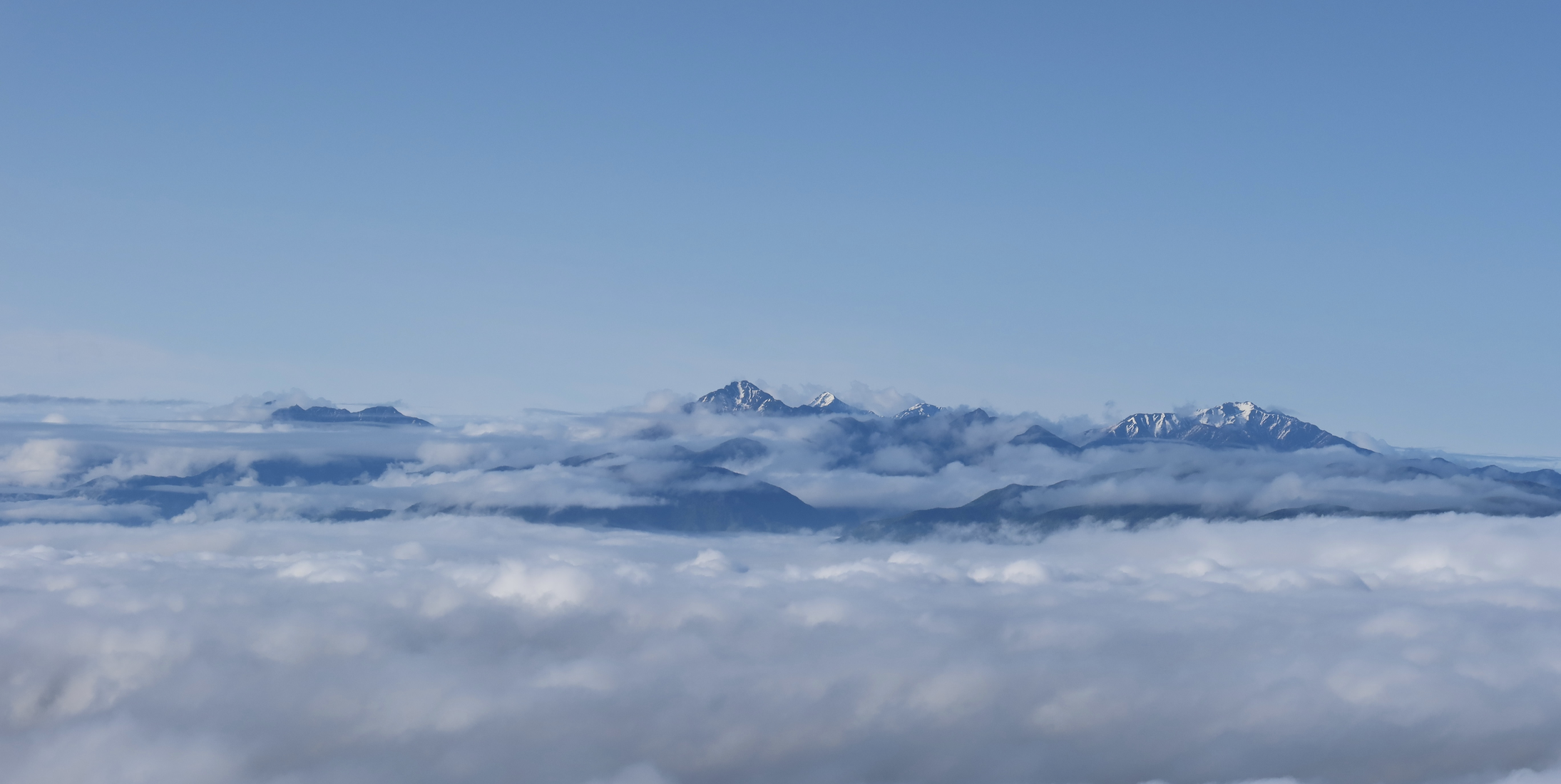 AIと人をつなぐ抽象アート